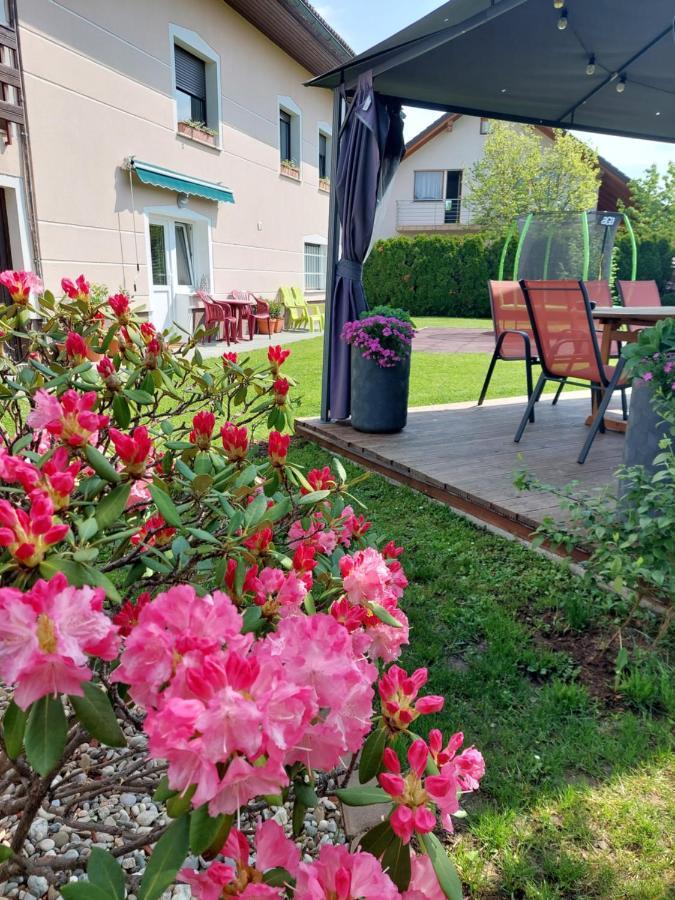 Studio Apartma Zirovnik Cerklje na Gorenjskem Exterior foto