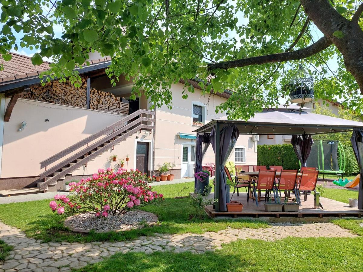 Studio Apartma Zirovnik Cerklje na Gorenjskem Exterior foto